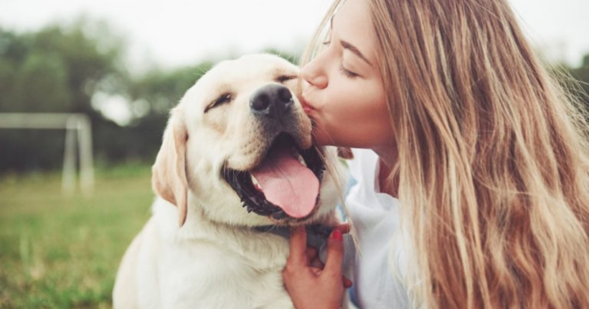 Heartwarming Quotes About Dogs: Celebrating Our Loyal Companions